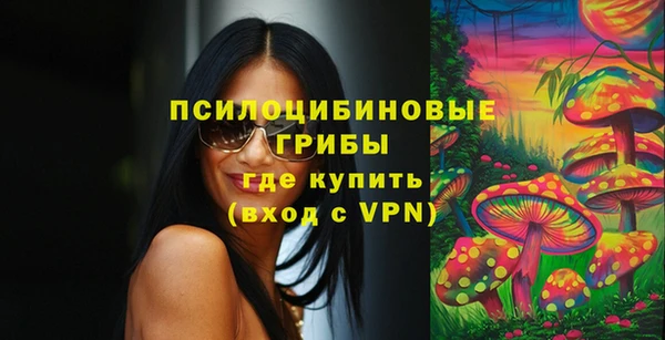 ПСИЛОЦИБИНОВЫЕ ГРИБЫ Осташков
