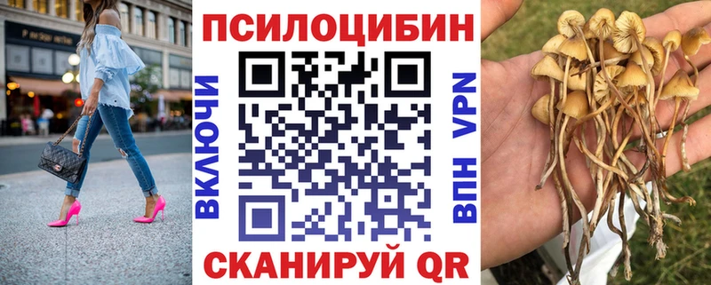 Галлюциногенные грибы MAGIC MUSHROOMS  mega зеркало  Алушта 